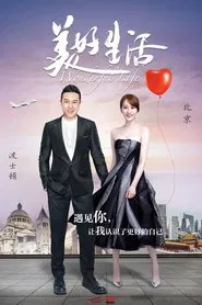Wonderful Life tv show poster