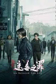 Lie Detected: Lost Lily movie poster