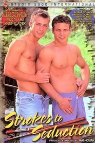 Strokes to Seduction movie poster