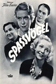 Poster do filme Spaßvögel