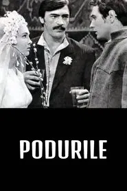 Poster do filme Bridges