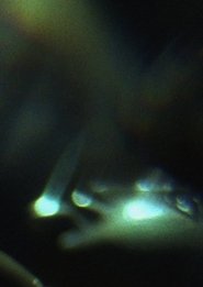 Prisms movie poster