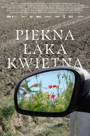 A Beautiful Wildflower Meadow movie poster