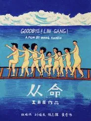 Goodbye! Lin Gang! movie poster