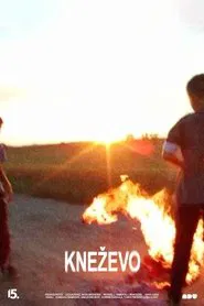 Flatland movie poster