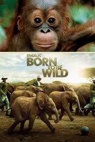 Born to Be Wild movie poster