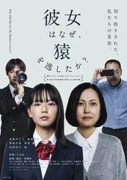 Poster do filme Why Did She Let the Monkeys Loose?