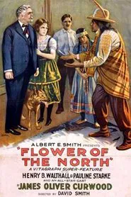 Poster do filme Flower of the North