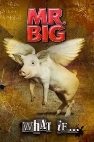 Mr. Big: The Making Of 'What If...' movie poster
