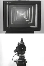 Observer / Observed movie poster