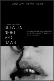 Between Night And Dawn movie poster