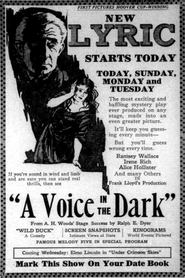 A Voice in the Dark movie poster