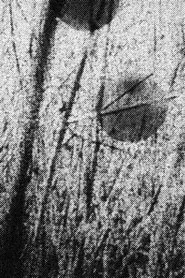 Across the Field movie poster