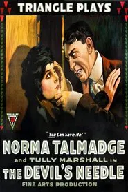 The Devil's Needle movie poster