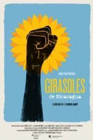 Sunflowers of Nicaragua movie poster