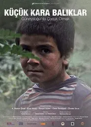 Little Black Fishes movie poster