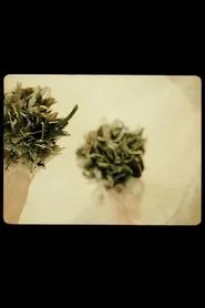 cum pane – the one you share your bread with movie poster