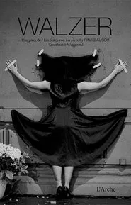 Walzer movie poster