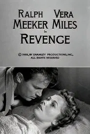 Poster do filme Revenge