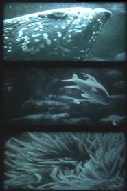 nur fische movie poster