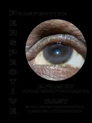 Poster do filme Perspective