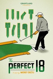 The Perfect 18 movie poster
