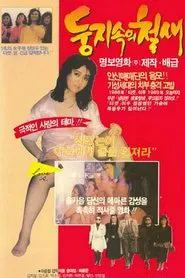 A Migrant Bird in a Nest movie poster