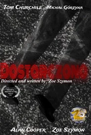 Dostarczono movie poster