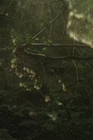 The Subterraneans movie poster