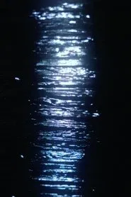 December Lights movie poster