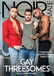 Poster do filme Gay Threesomes