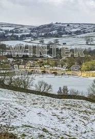 Poster da série Winter Walks