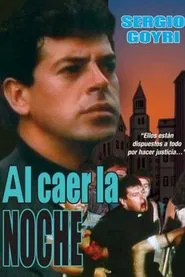 When the Night Falls movie poster