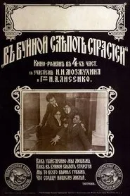 In The Wild Blindness Of Desires movie poster