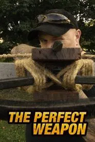 Perfect Weapon tv show poster
