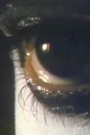 Boredom movie poster