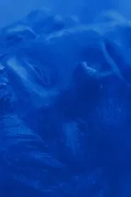 Azul no Azul movie poster