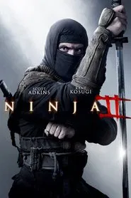 Ninja: Shadow of a Tear movie poster