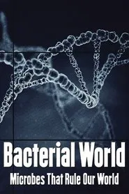 Poster do filme Bacterial World