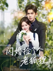 閃婚撿了個老狐狸 tv show poster