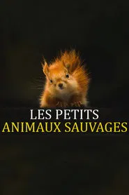 Les Petits Animaux Sauvages tv show poster