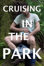 Cruising in the Park movie poster