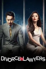 Divorce Lawyers tv show poster