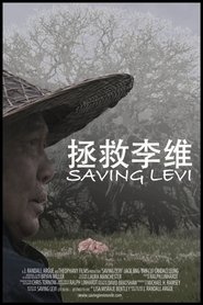 Poster do filme Saving Levi