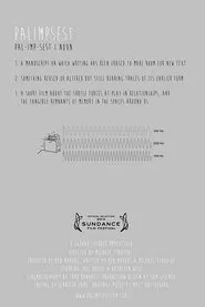 Palimpsest movie poster