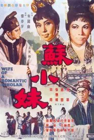 Poster do filme Wife of a Romantic Scholar
