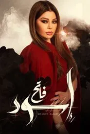 Bright Black tv show poster