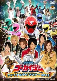 Kaizoku Sentai Gokaiger: Final Live Tour 2012 movie poster
