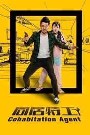 同居特工 movie poster