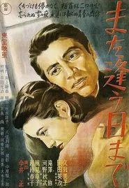 Till We Meet Again movie poster